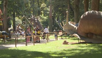 Chlum na Třeboňsku trápí zábavní park. Problémy jsou s parkovištěm i odpadky
