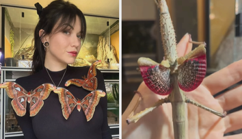 Žena má doma opravdu netradiční mazlíčky. Tahle zvířata nemá nikdo rád, říká chovatelka