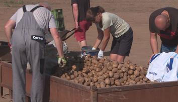 PŘEHLED: Samosběry pomalu končí. Zjistěte, kam se ještě můžete vydat