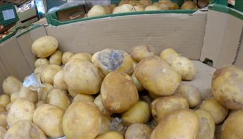 Kontrola supermarketů v Dobrušce byla katastrofa. Reportéra šokoval stav brambor