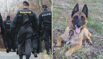 Policisté se zaměřují na chatové oblasti: Pomáhají i služební psi