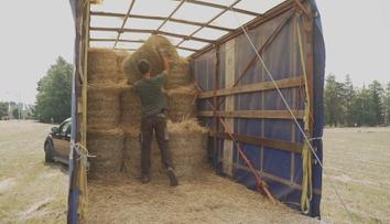 Většinu Česka trápí extrémní sucho. Farmáři se bojí vysokých ztrát