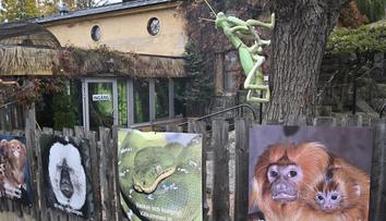 Uprchlá kobra se ve švédské zoo raději po týdnu sama vrátila do terária
