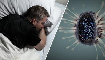 Jsme na pokraji smrtící epidemie, varují zdravotníci! Šíří se mor