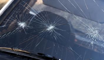 Hlášky motoristů v roce 2025: Nadržení ptáci, rozzuřený kozel i sestra v akci