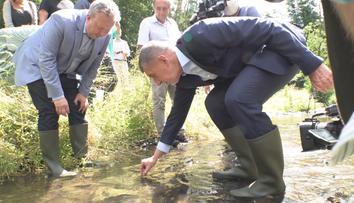 Babiš s raky tvrdě narazil. Před lety jich tisíce zabily chemikálie jeho Agrofertu