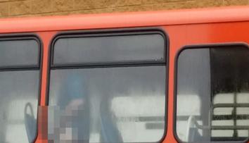 Řidiče nachytali při sexu s jeho autobusem! VIDEO