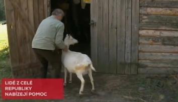 Úřady zbořily chovateli chlívek pro kozy! Peníze mu poslal i sedmiletý Martínek