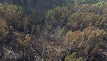 Vrtulníky opustily České Švýcarsko. Hasiči chtějí oheň zlikvidovat do pátku