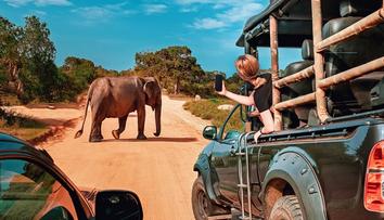 Safari během dovolené na Zanzibaru: Probuďte v sobě dobrodruha!