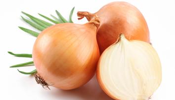 CIBULE chrání žaludek proti RAKOVINĚ! Může být ale toxická
