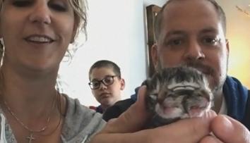 Zrůdná krása: Kotě se narodilo se čtyřma očima a druhou tváří