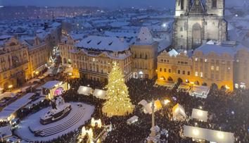 FOTO: Praha vybrala vánoční strom. Smrk rostl na zahradě 85 let