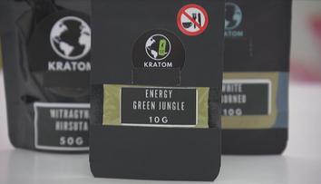 Ministři jednali o regulovaném prodeji kratomu a konopí. Čekají na Evropskou komisi
