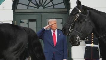 Trump salutoval kladrubákům. Koně v USA jeli v čele slavnostního průvodu
