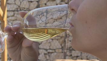 Ochutnávky už turisty moc nelákají. Vinaři proto rozšiřují nabídku služeb