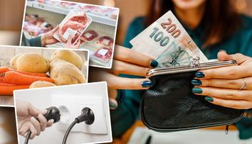 PŘEHLED: Čechům zdraží obědy, kadeřnice i cestování. Nová vláda vrátí EET
