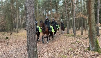Desítky policistů v Klánovickém lese. Nebezpečí nehrozí, uklidňují