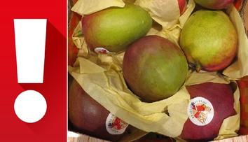 Mango z Penny Marketu bylo plné pesticidů! Hrozí alergická reakce