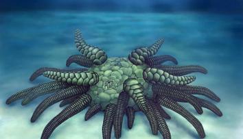 Mýtus ožil! Vědci našli legendární monstrum žijící na dně oceánu