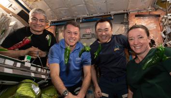 Astronautům nefunguje toaleta, k návratu na Zem si musí navléct plenky