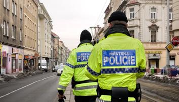 Opilá žena požadovala po partnerovi sex. Ten na ni zavolal strážníky
