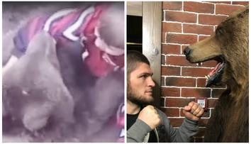 Ochránci zvířat jdou do boje s Chabibem! Vadí jim jeho velká záliba