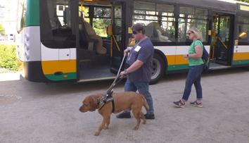 V Liberci soutěžili vodicí psi. Museli najít přechod nebo volné místo v autobusu