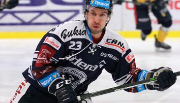 Hokejové Pardubice znovu posilují. Přivedly útočníka z Finska