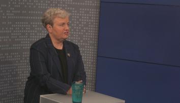 Elektřina zdraží průměrně až o 20 procent, řekla odbornice Dana Drábová