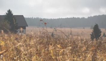 Známe výsledek svatomartinské soutěže. Na vrcholku Krušných hor není ani vločka