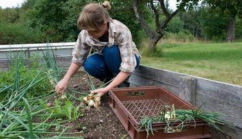 Farmáři došla trpělivost s cenami. Rozdává zdarma stovky tun úrody
