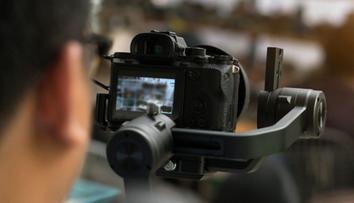Brali psy z útulku a točili s nimi porno! Soud jim dal jen podmínku