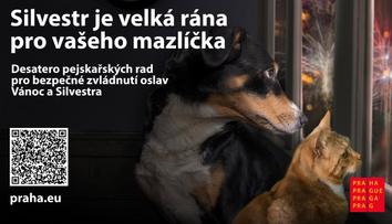 Na Silvestra platí omezené používání pyrotechniky