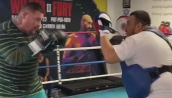 Návrat ve velkém stylu! Andy Ruiz Jr. dostal nabídku na titul WBA