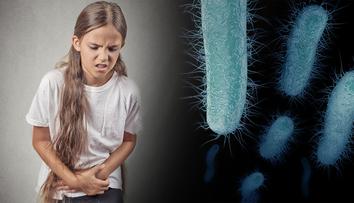V chorvatském letovisku se šíří nákaza. Několik lidí skončilo v nemocnici