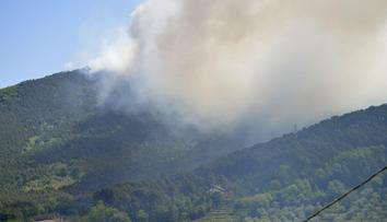 Itálii pustoší lesní požáry. Z okolí Pisy evakuovali tisíce lidí