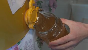 Zpřísní se pravidla pro dovoz medu. Vyhláška bojuje proti falšovaným výrobkům