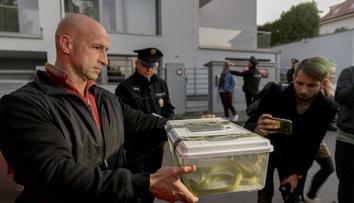 První had byl odměna za samé jedničky, přiznal herpetolog Bublík