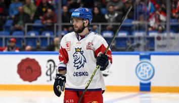 Pardubice ukradly Brnu dalšího hráče. Z NHL získaly obránce Zbořila