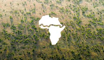 Africké země se spojily. Přes 20 z nich tvoří Velkou zelenou zeď
