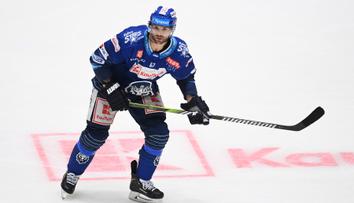 Disciplinárka trestala ve velkém. Hvězdy extraligy pykají za napadení sudího