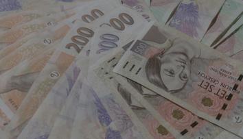 Policie odhalila zneužívání dávek. Cizinka dostala stovky tisíc, v Česku ani nebyla