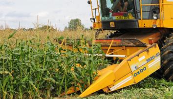 Roundup v Česku definitivně končí! Prý může způsobit rakovinu