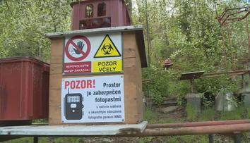 Krádež úlů na Žďársku vyšetřuje policie. Zloděj způsobil škody za desítky tisíc