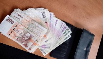 Muž v Pardubicích našel peněženku plnou bankovek. Poctivě ji odnesl strážníkům