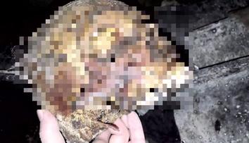 Mladík vlezl do hrobu a natočil si video s mrtvolou. Už ho má policie