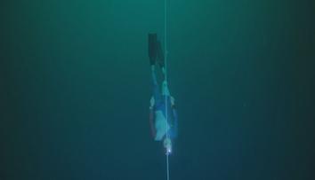 Freediver pokořil na Bahamách posedmé rekord. Potopil se do hloubky 120 metrů
