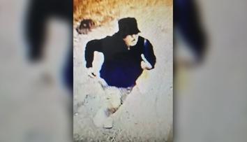 Atentát v Monaku měla spáchat žena převlečená za muže. Hledá ji Interpol