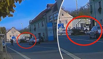 Pes na Rychnovsku zuřivě útočil na hocha, policie zveřejnila drsné video